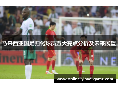 马来西亚国足归化球员五大亮点分析及未来展望