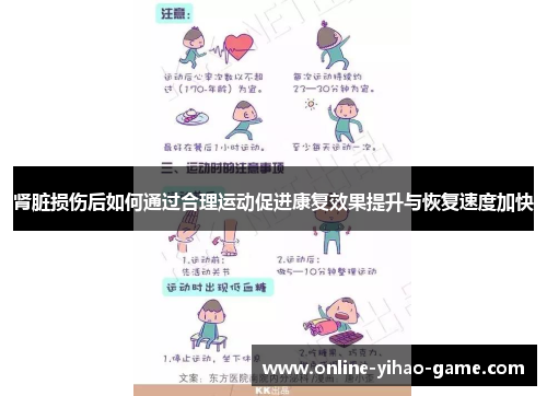 肾脏损伤后如何通过合理运动促进康复效果提升与恢复速度加快